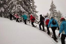 Zagórz Atrakcja Wypożyczalnia rakiet śnieżnych PAWUK Wypożyczalnia